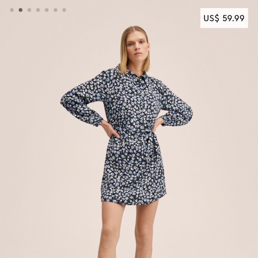 Mango Kim Dress- worn once!